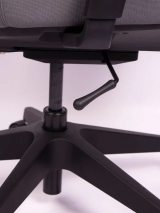 Healthy Chair Q1